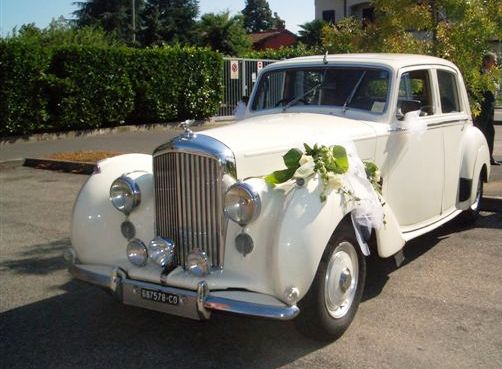 CIMG1954